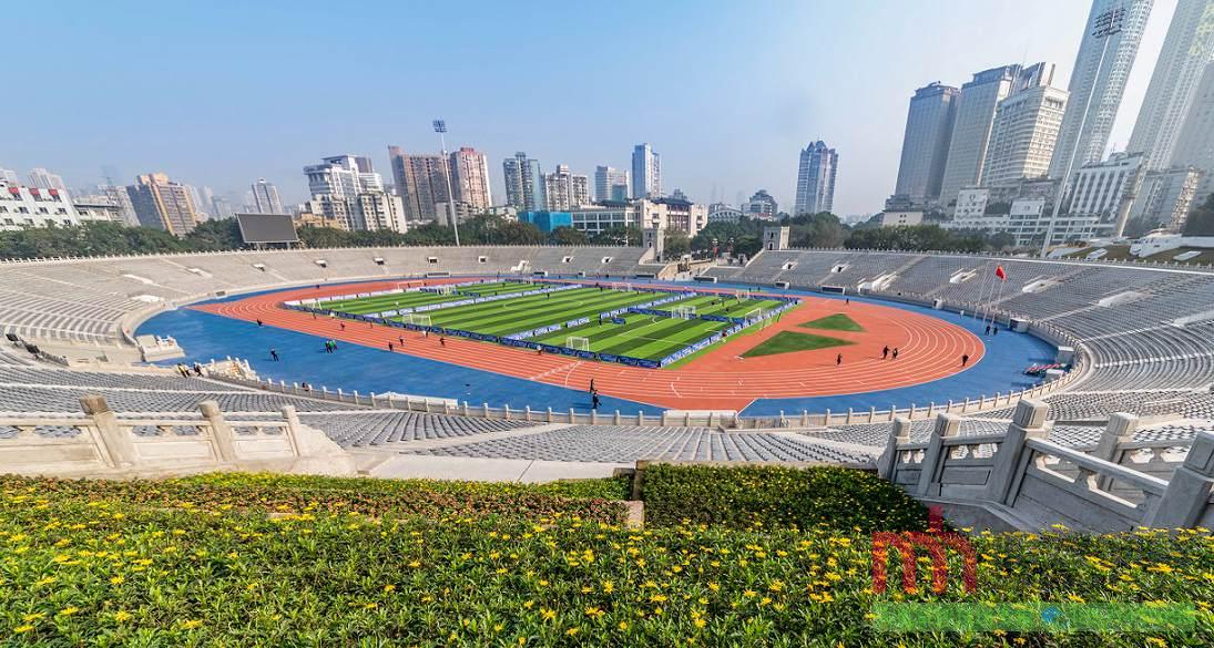 重庆足球场人造草坪